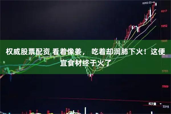 权威股票配资 看着像姜， 吃着却润肺下火！这便宜食材终于火了